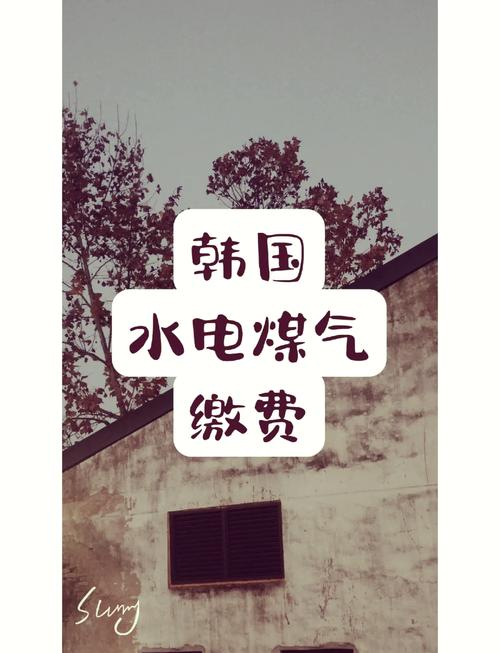 好看的韓國三色電費